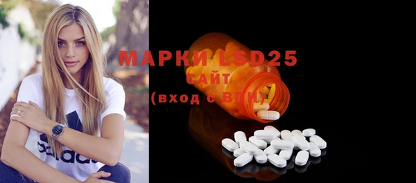 стаф Алексин