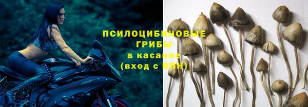 дурь Алексеевка