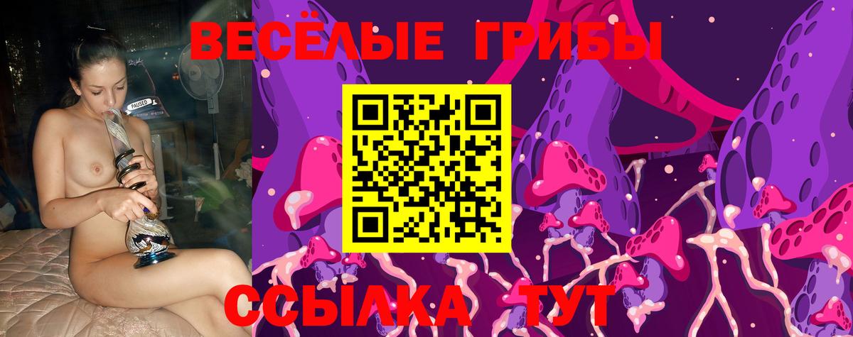 Псилоцибиновые грибы прущие грибы Ставрополь