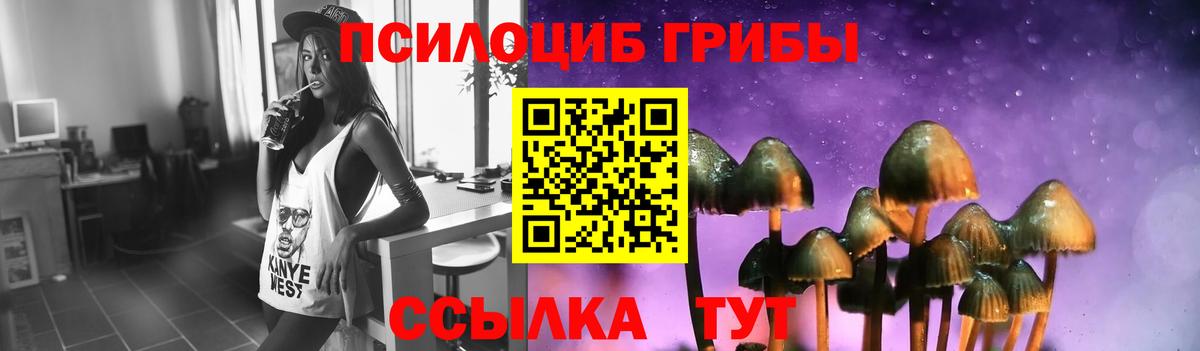 Галлюциногенные грибы Magic Shrooms  Вход с VPN  Ставрополь 